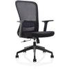 Sans marque - chaise de bureau ergonomique, piètement plastique, noir, lot de 2 chaises