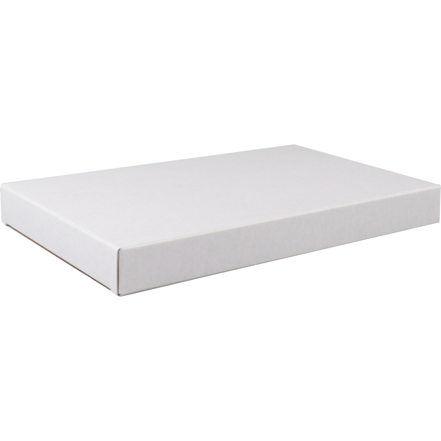 Sendproof® - Box Box 160x28x255mm 50 pièces blanches