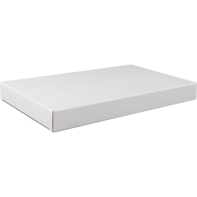 Sendproof® - Box Box 160x28x255mm 50 pièces blanches