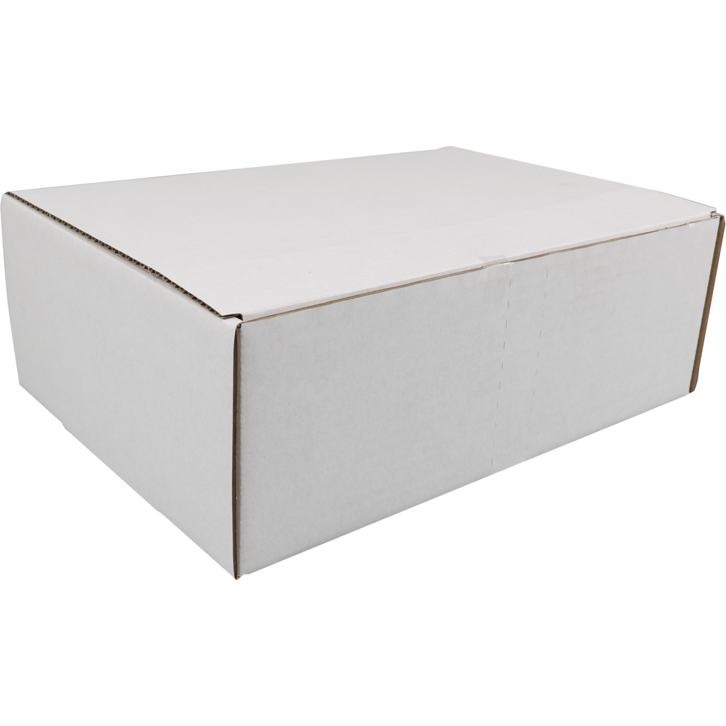 SendProof -  Postpakketdoos | golfkarton | 302x215x105mm | gestanst | wit | 25 stuks