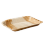 Biodore® - Teller, rechteckig, 1 Fach, Palmblatt, 17x14cm 25 Stück