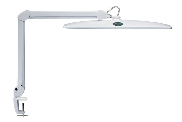 MAUL - Lampe de travail Work LED pince de table dimmable blanc