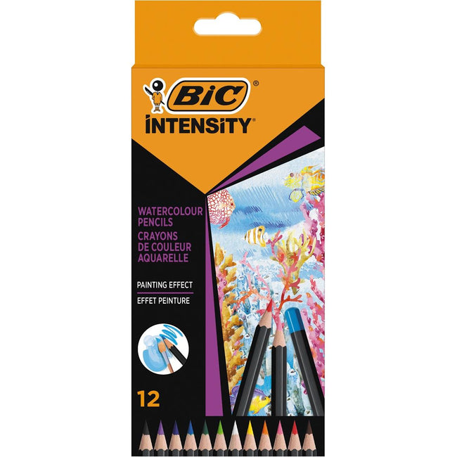 BIC -  aquarelpotlood Intensity, etui van 12 stuks
