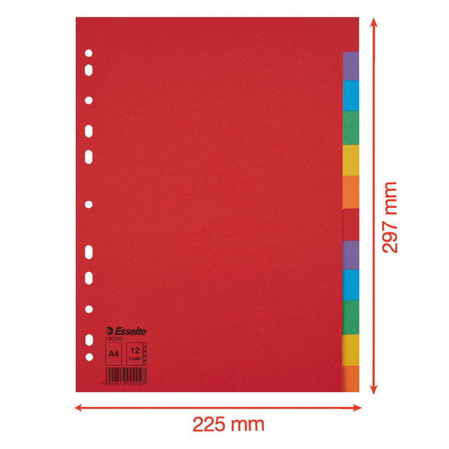 Esselte -  Tabbladen  economy a4 12dlg karton 11r ass