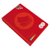Quantore - Papier copie Couleur A4 160gr rouge vif 250 feuilles