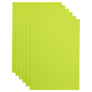 Papicolor - Kopierpapier A4 100gr 12 Blatt apfelgrün