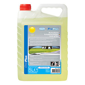 Proplus - Window Liquid Summer Ready - Facade 5L