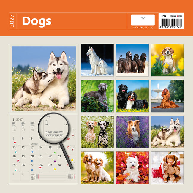 Helma 365 -  Kalender 2027 30x30cm honden
