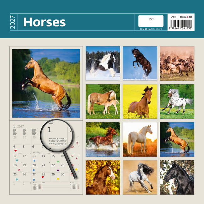 Helma 365 -  Kalender 2027 30x30cm paarden