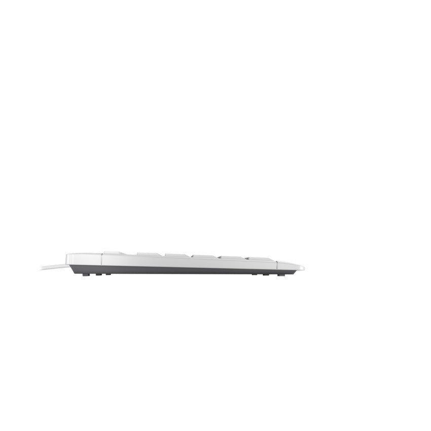 CHERRY -   STREAM KEYBOARD TKL toetsenbord Universeel USB QWERTY Engels Wit