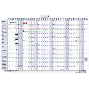 LEGAMASTER - Planificateur annuel 2025 90x60cm laminée horizontalement et enroulement.