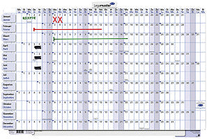 LEGAMASTER - Planificateur annuel 2023 90x60cm horizontal stratifié et relable