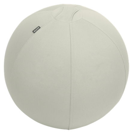 Leitz - Ballon assis Ergo Active 55cm Anti Roll gris clair
