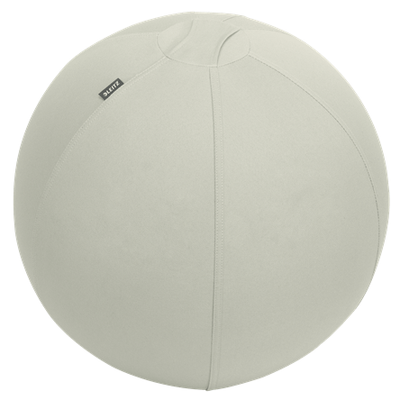 Leitz - Ballon assis Ergo Active 55cm Anti Roll gris clair