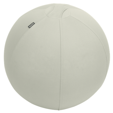 Leitz - Ballon assis Ergo Active 55cm Anti Roll gris clair