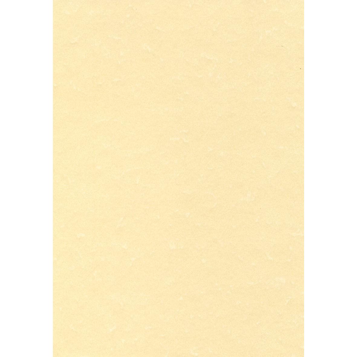 Decadry – strukturiertes Papier Champagner, 165 g, Packung mit 50 Blatt