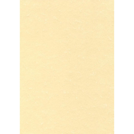 Decadry -   structuurpapier champagne, 165 g, pak van 50 vel