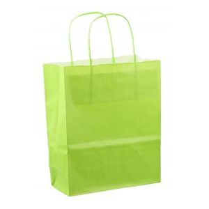 Papieren koordtas 18x08x22cm 50st licht groen