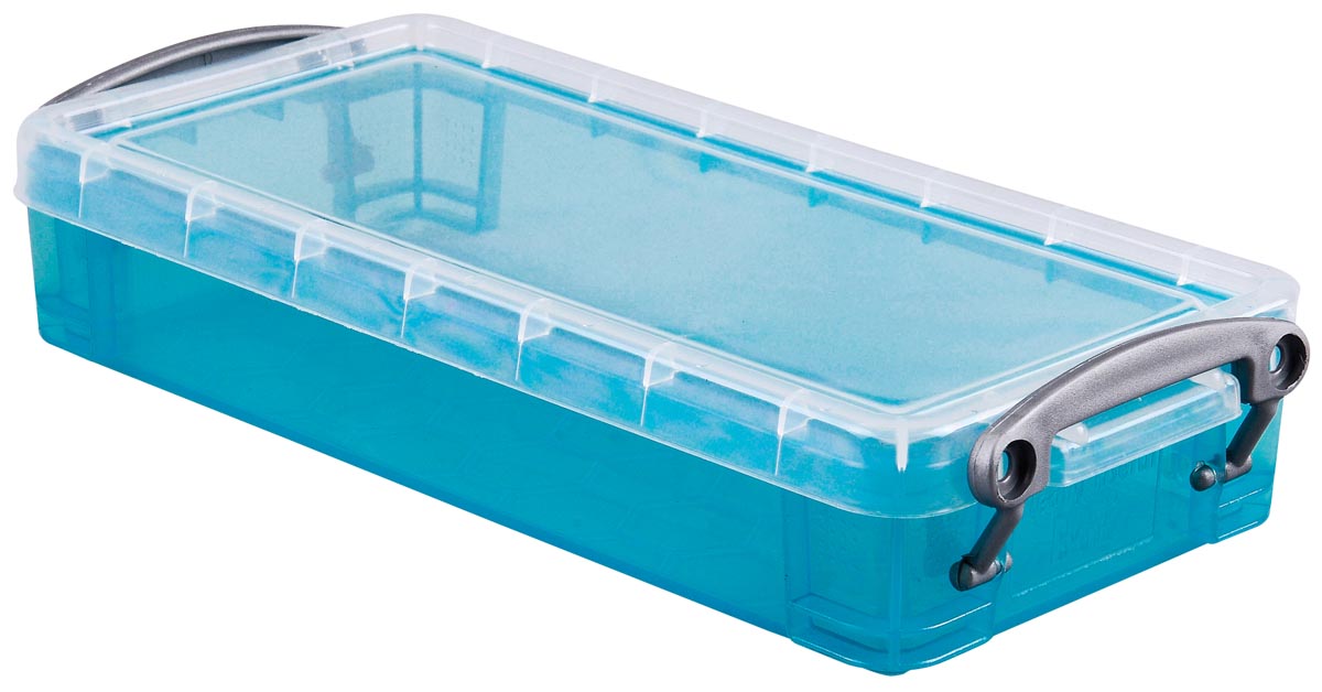 Wirklich nützliche Box - Box 0,55 Liter, transparente Helblauw