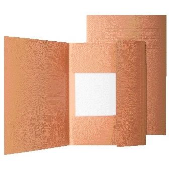 Quantore - Aktenordner ICN1 Folio chamois | 50 Stück