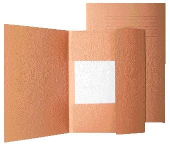 Quantore - Aktenordner ICN1 A4 chamois | 50 Stück