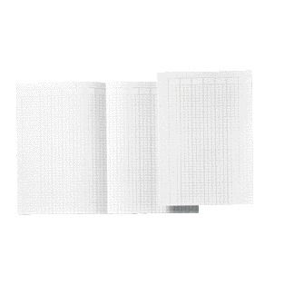 Atlanta par Jalema - Accountantspaper Djois folio 14 colonnes 100 feuilles