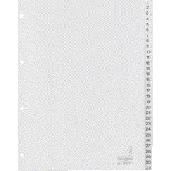 Kangaro - Languettes 4 trous G431C 1-31 numérotées gris PP | 10 pièces