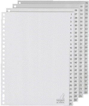 Kangaro - Languettes 23 trous G4100CM 1-100 PP gris numéroté