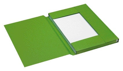 Jalema - Dossier folio 3 rabats 100% carton recyclé 250 gr vert | 125 pièces