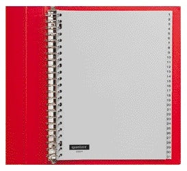 Quantore - Tabs 23 Löcher 1-31 nummeriert grau PP | 5 Stück