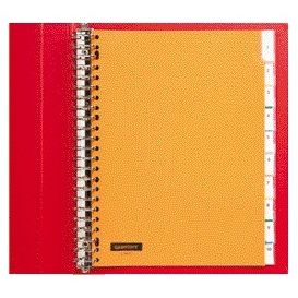 Quantore - Onglets 23 trous 10 pièces avec fenêtre assortis PP | 25 pièces