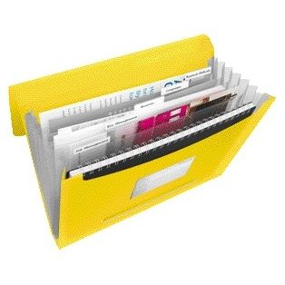 Esselte - Dossier de projet Vivida A4 6 compartiments PP jaune