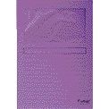 Exacompta - Chemise à fenêtre Forever modèle L 120gr violet 100 pièces