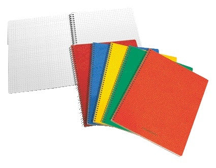 Aurora -  Schrift  75x110mm ruit 5mm 160pag ass | 20 stuks