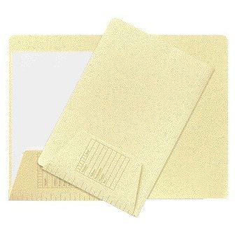 Jalema - Dossier Djois folio 1 rabat 160gr jaune clair | 100 pièces