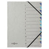 PAGNA - Sortiermappe Easy A4 12 Register hellblau/dunkelblau