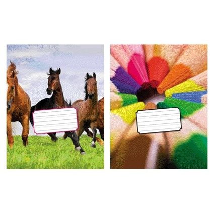 Kangaro - Carnet 165x210mm écriture fine 72 pages 80gr