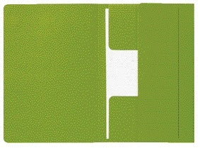 Djois -  Dossiermap  mamm folio 3k 250gr recy gn | 10 stuks