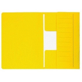 Djois -  Dossiermap  mamm folio 250gr recy gl