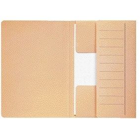Djois -  Dossiermap  Mammoet folio 3 kleppen 250gr recycled 360 x 250 mm chamois