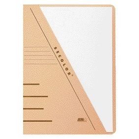 Djois - Classeur A4 recyclé 250gr chamois