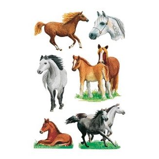 HERMA -  Etiket  3553 paarden rassen | 10 stuks