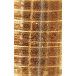 Haza -  Polyband  5mm x 250m metallic goud