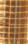 Haza - Polyband 5mm x 250m or métallisé | 12 pièces