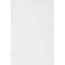 GBC - Page de garde a4 pp 300micron blanc