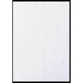 GBC - Page de couverture A4 aspect cuir blanc 100 pièces