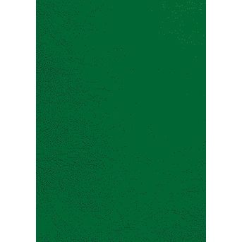 GBC - Page de garde A4 aspect cuir vert 100 pièces