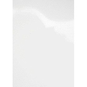 GBC - Page de garde A4 carton chromo 250gr blanc 100 pièces