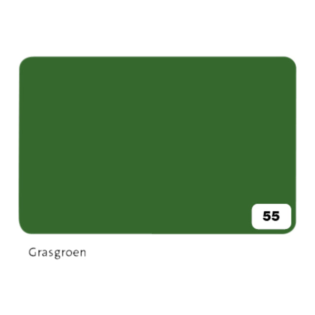 Folia Paper - Fotokarton folia 2z 50x70cm 300gr nr55 grasgroen | 10 stuks