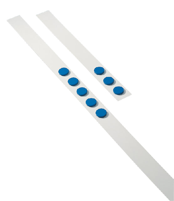 Dahle - Wandliste 1 m, mit 5 Blaumagneten Durchmesser 32 mm